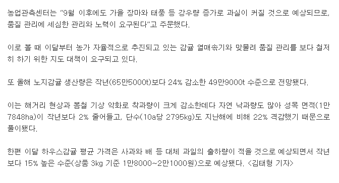 노지감귤 품질 비상..과실 비대 우려