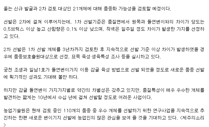 돌연변이에서 제주감귤 품질 ‘업그레이드’