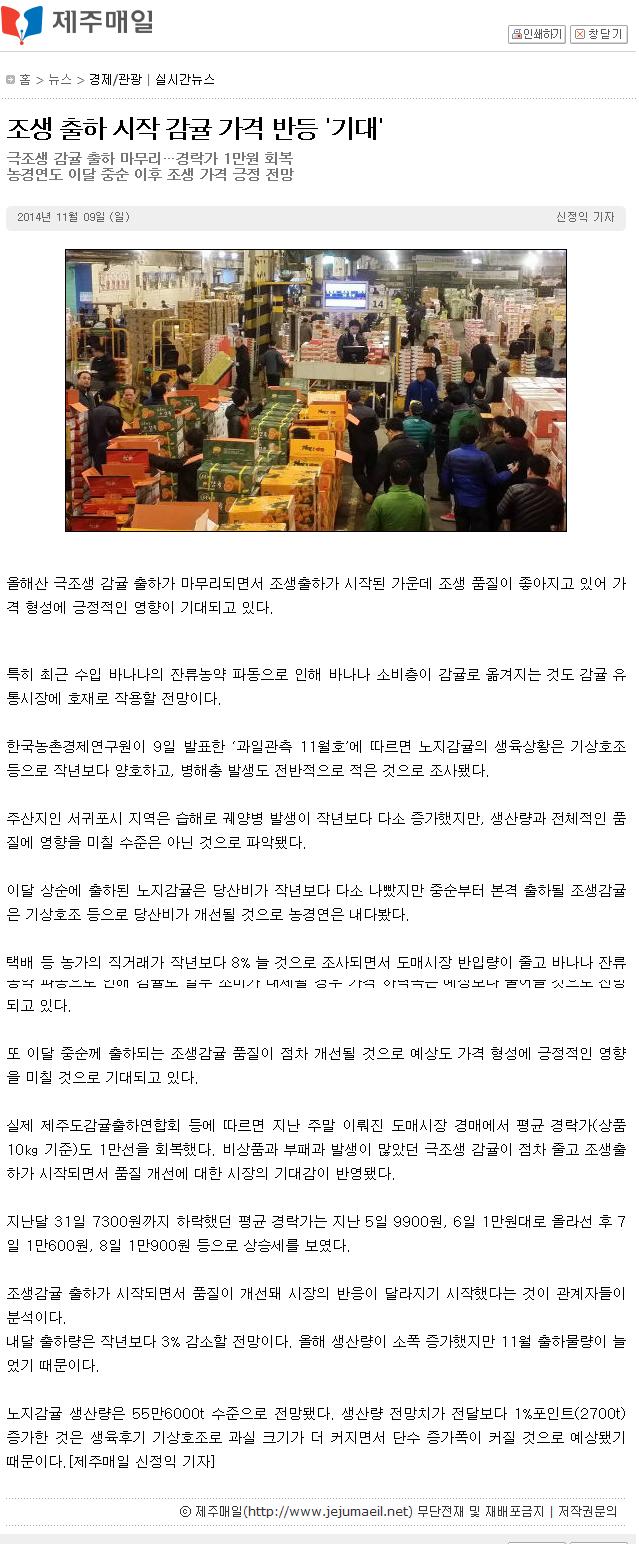 조생출하시작감귤가격반등 기대