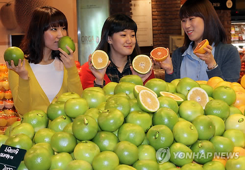 이스라엘산 햇 스위티 출시