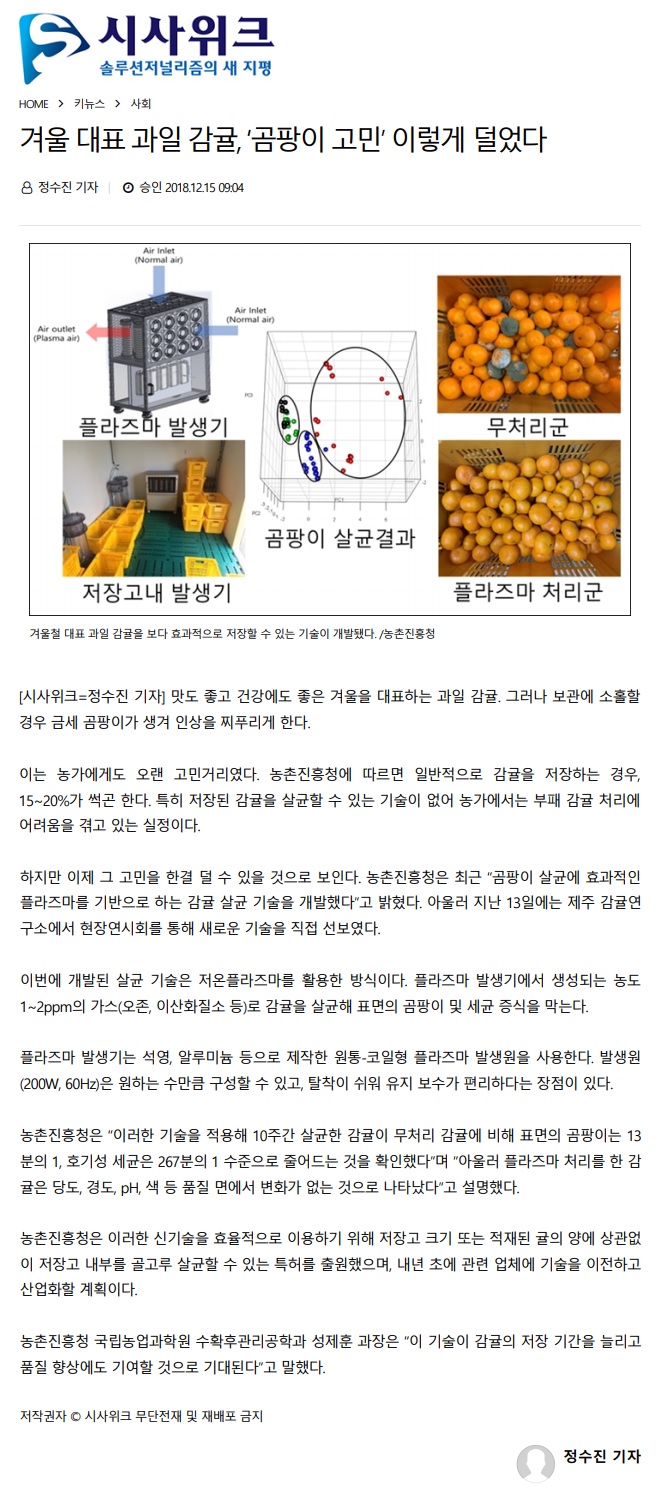 겨울 대표 과일 감귤, '곰팡이 고민' 이렇게 덜었다