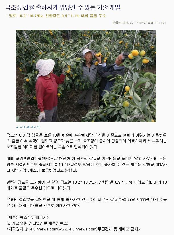 극조생 감귤 출하시기 앞당길 수 있는 기술 개발