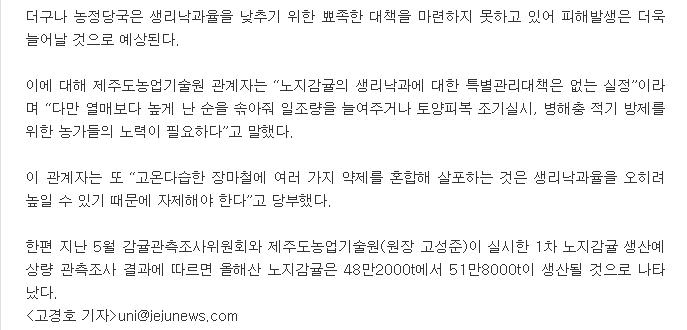 올해산 노지감귤 착과량 확보 '비상'