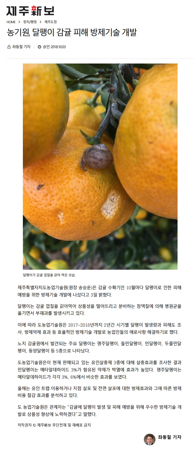 농기원, 달팽이 감귤 피해 방제기술 개발