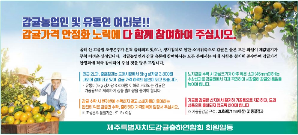 감귤가격 안정화 노역에 다 함께 참여하여 주십시오