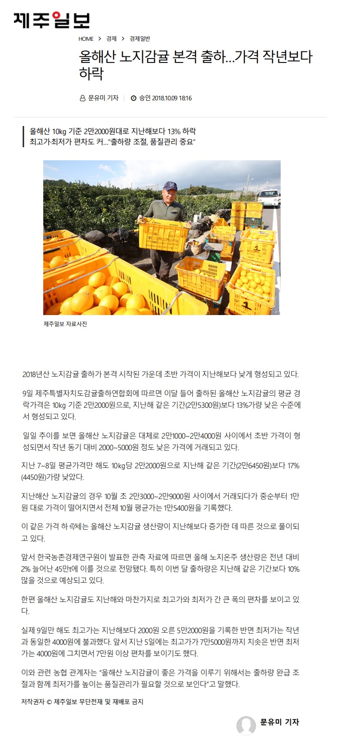 올해산 노지감귤 본격 출하...가격 작년보다 하락