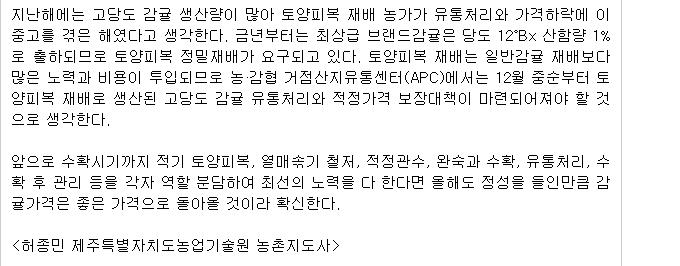 고당도 감귤생산을 위해 토양피복을