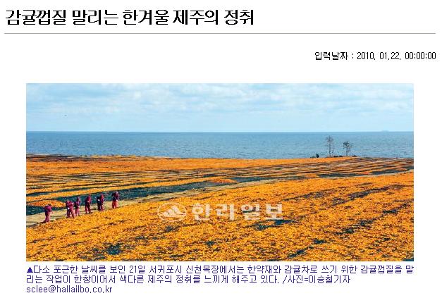 감귤껍질 말리는 한겨울 제주의 정취