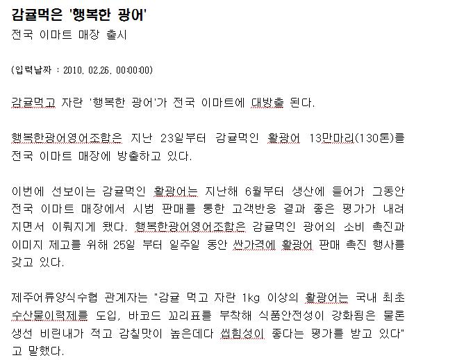 감귤먹은 '행복한 광어'