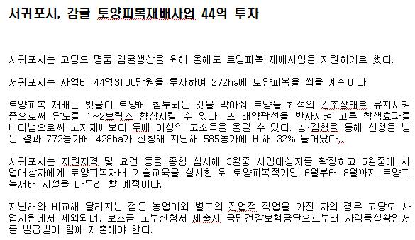 서귀포시, 감귤 토양피복재배사업 44억 투자