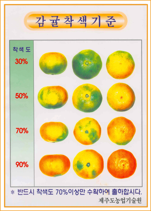 <font color="red">감귤착색기준표_2004.10.</font>