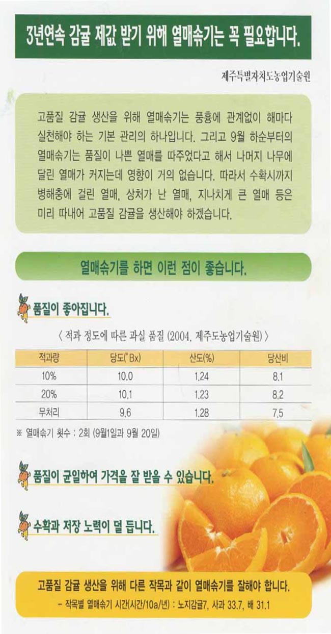 감귤열매솎기로 좋은가격 만들기 실천합시다!!!!!!!!!