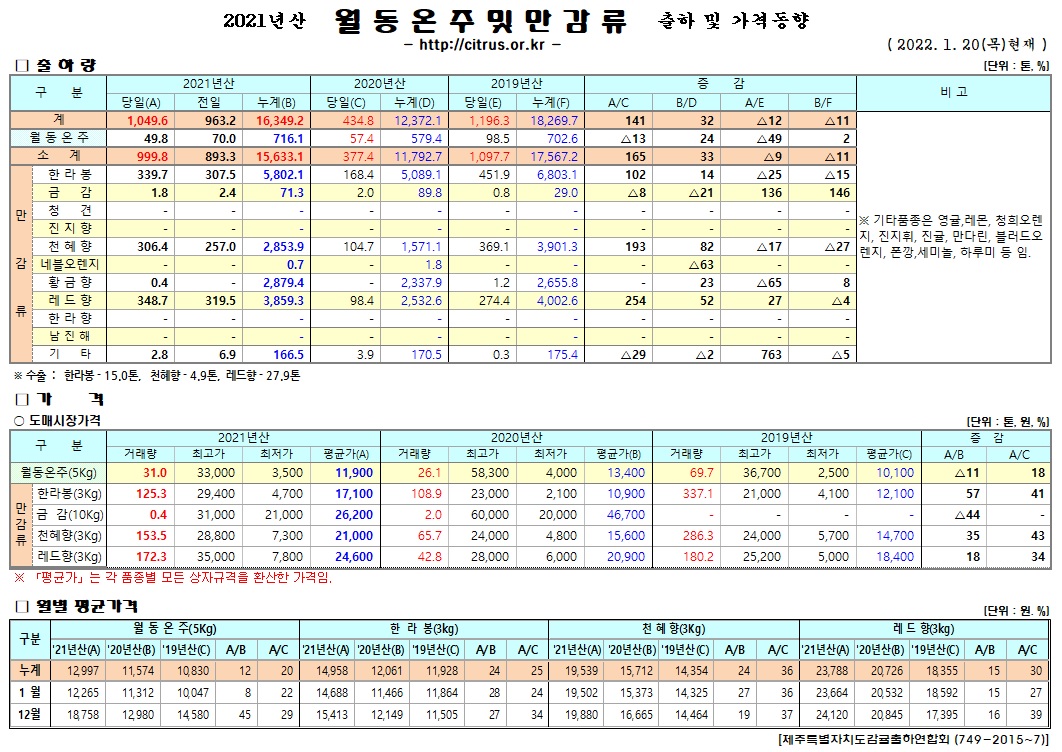 [월동&만감]2021년산 출하 및 가격동향(1/20)