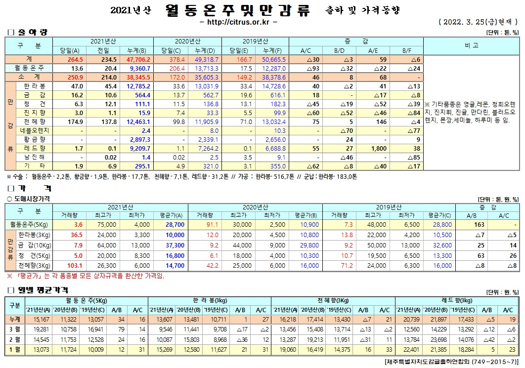 [월동&만감]2021년산 출하 및 가격동향(3/25)