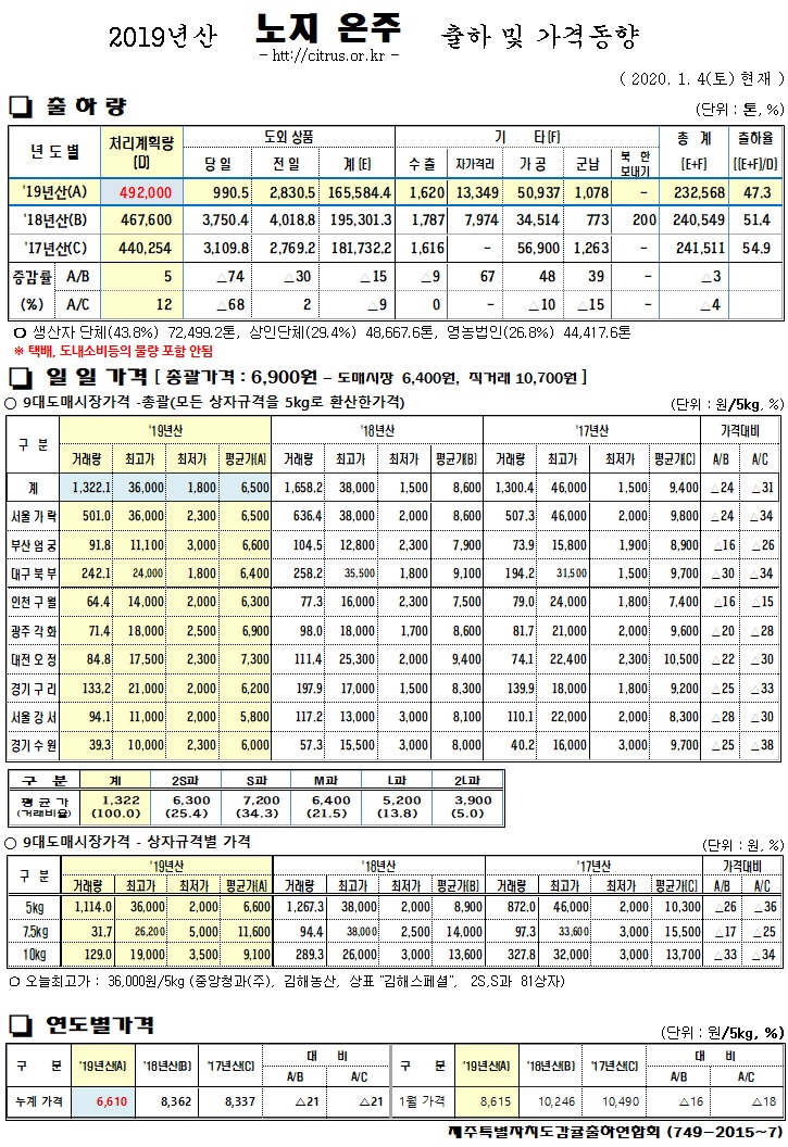  [노지온주]2019년산 출하 및 가격동향(1/04)