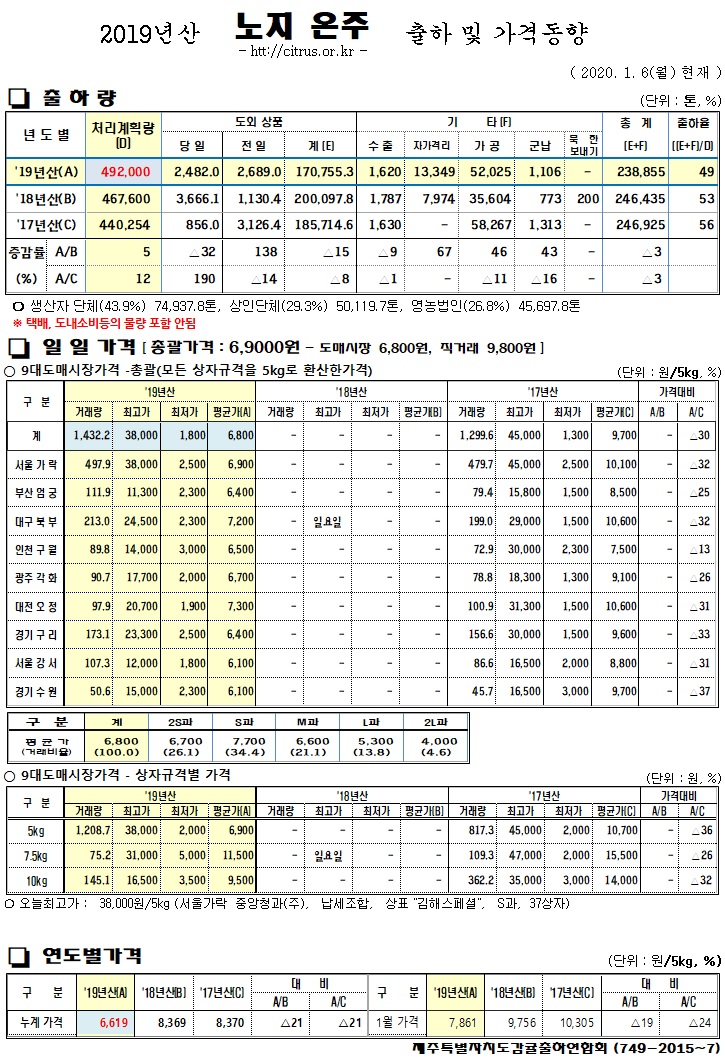 [노지온주]2019년산 출하 및 가격동향(1/06)