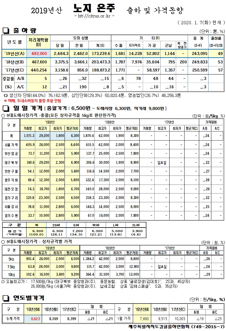[노지온주]2019년산 출하 및 가격동향(1/07)