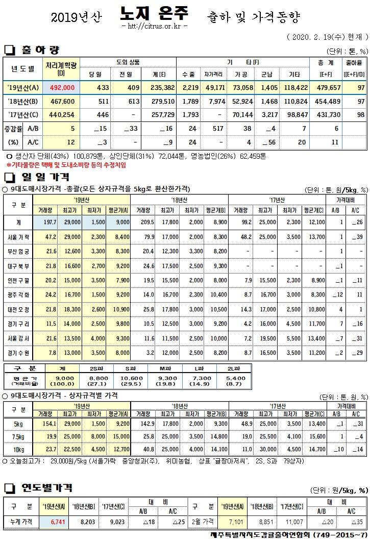 [노지온주]2019년산 출하 및 가격동향(2/19)