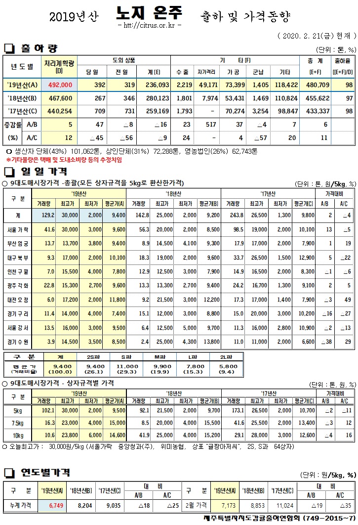 [노지온주]2019년산 출하 및 가격동향(2/21)