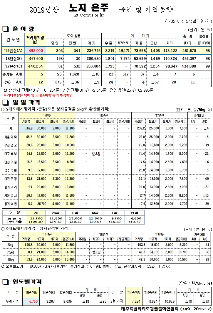 [노지온주]2019년산 출하 및 가격동향(2/24)