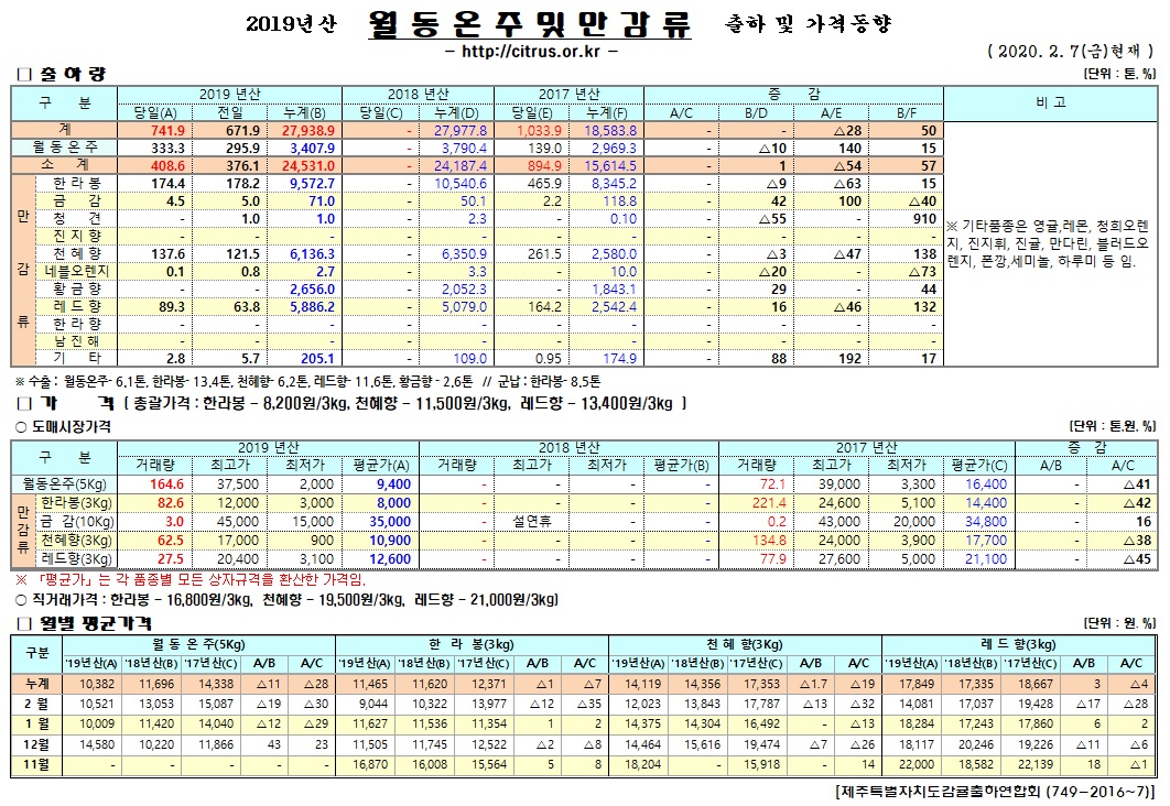 [월동&만감]2019년산 출하 및 가격동향(2/07)