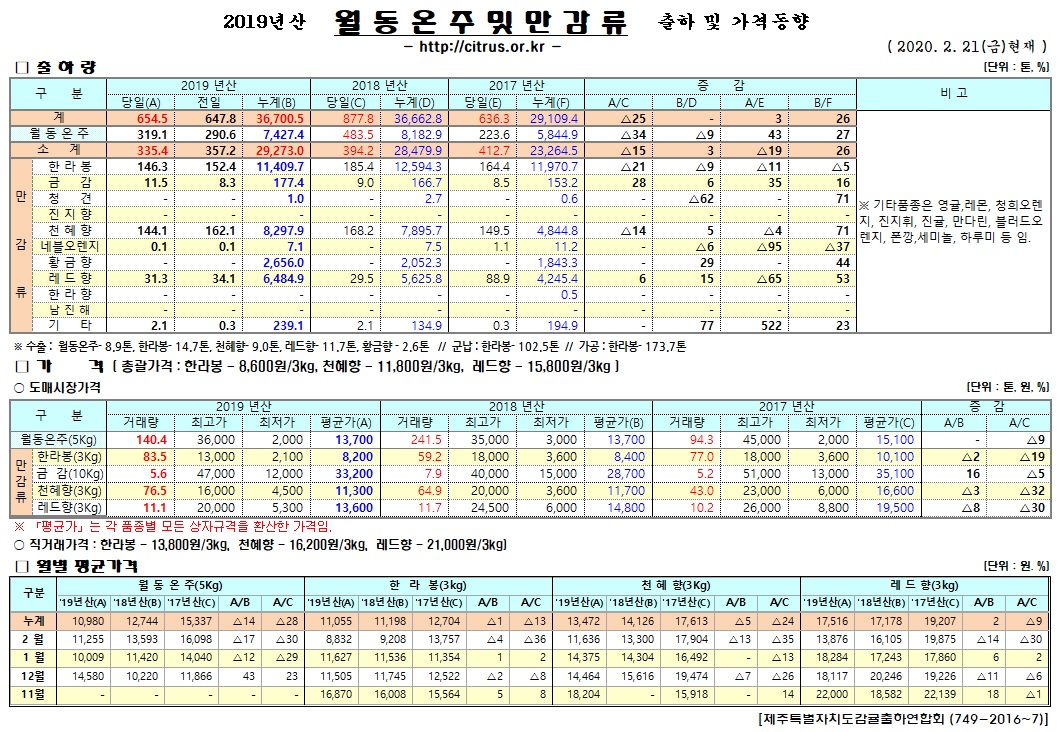 [월동&만감]2019년산 출하 및 가격동향(2/21)