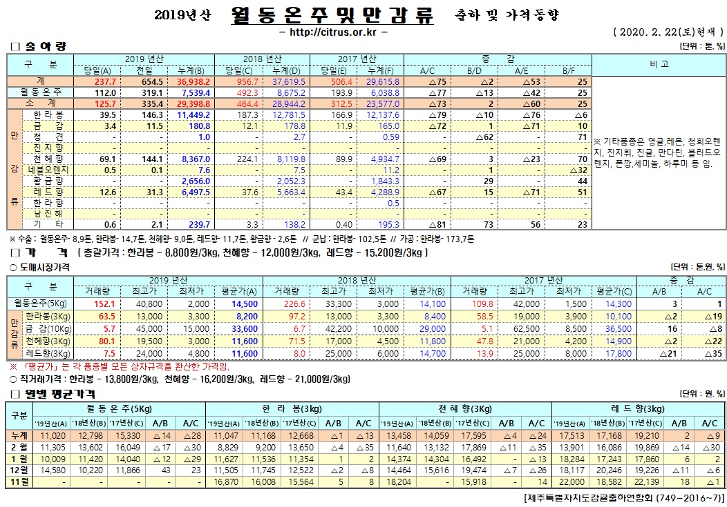 [월동&만감]2019년산 출하 및 가격동향(2/22)