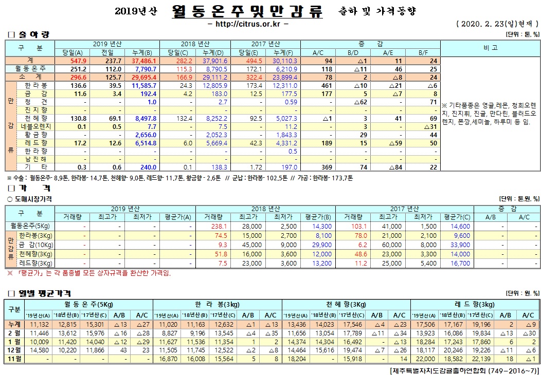 [월동&만감]2019년산 출하 및 가격동향(2/23)