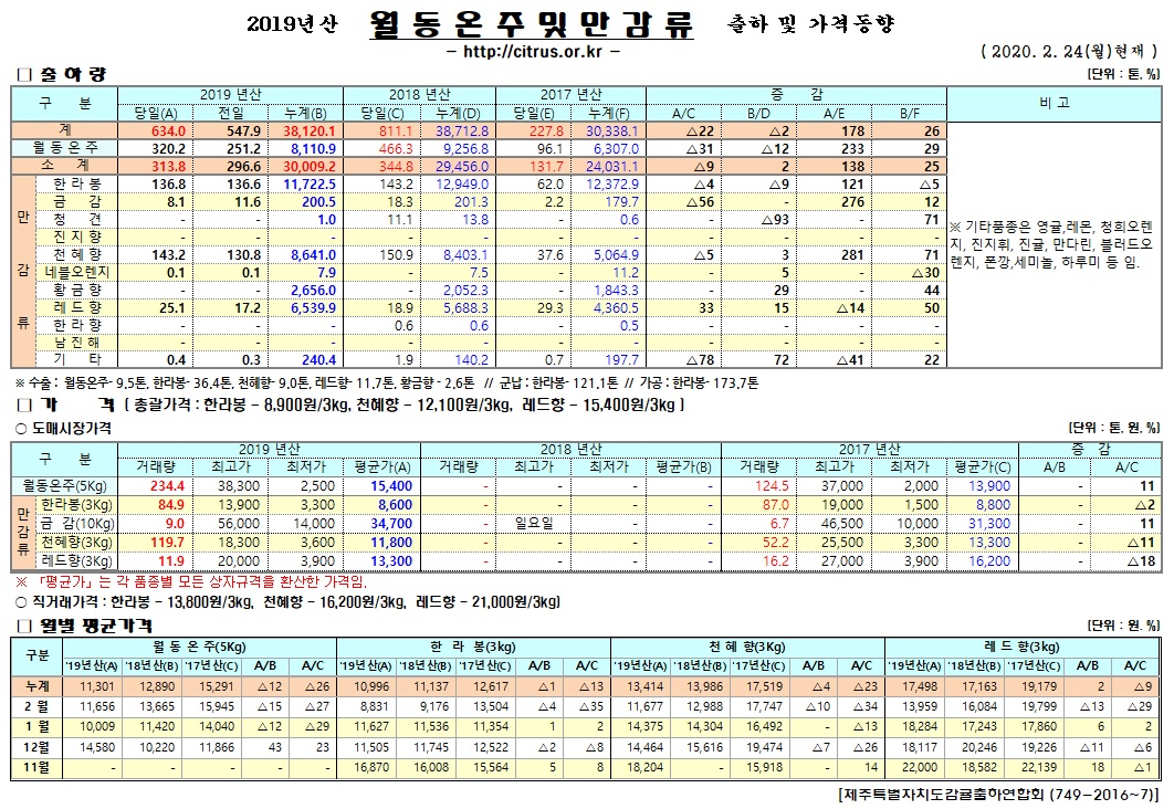 [월동&만감]2019년산 출하 및 가격동향(2/24)