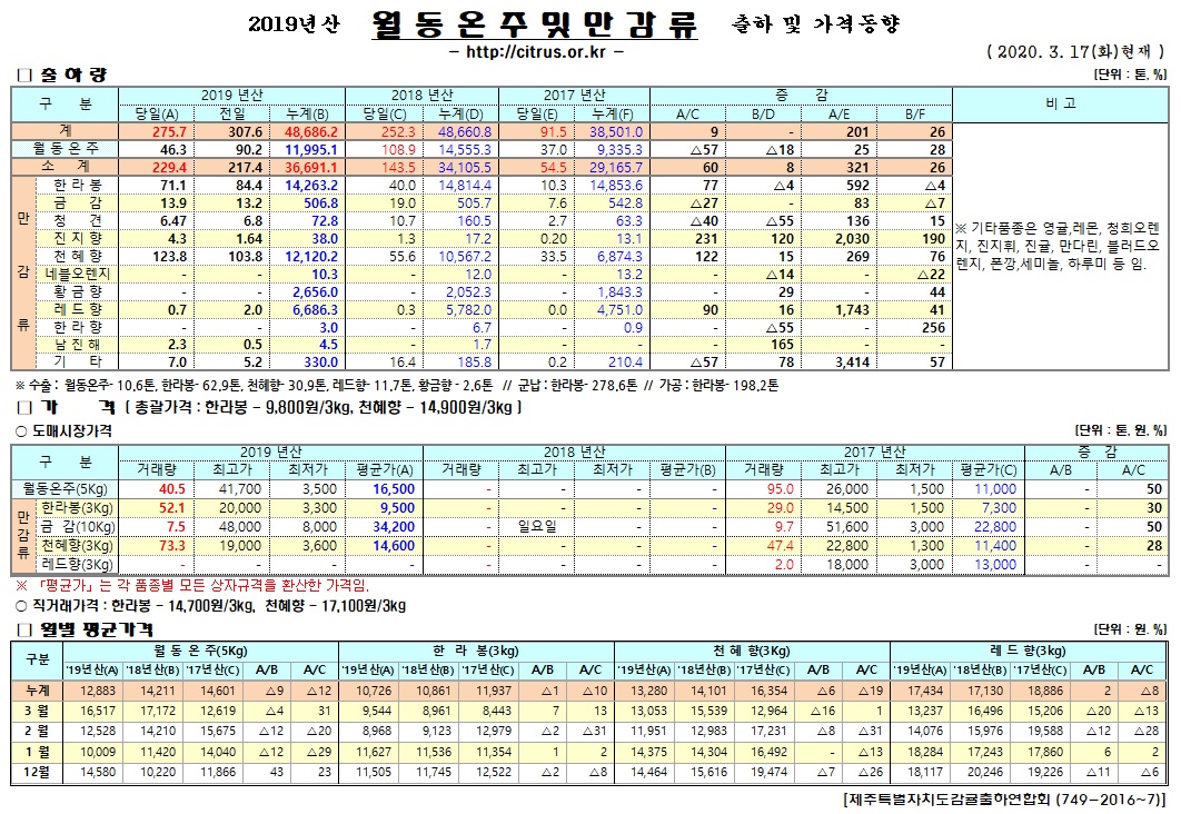 [월동&만감]2019년산 출하 및 가격동향(3/17)