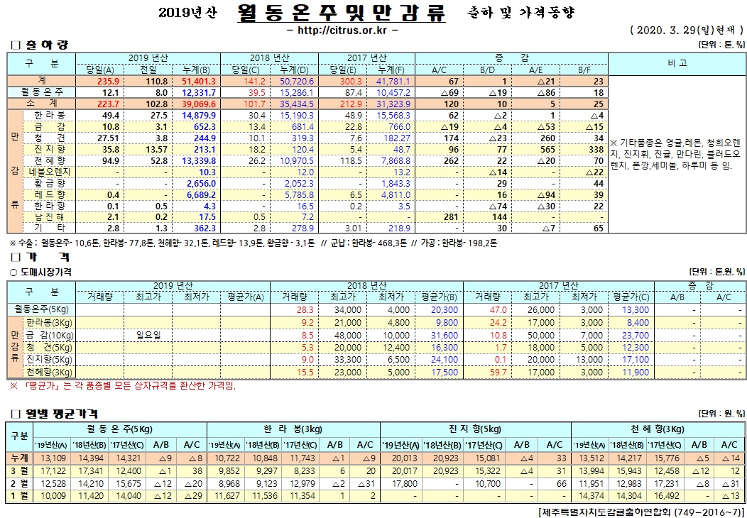 [월동&만감]2019년산 출하 및 가격동향(3/29)