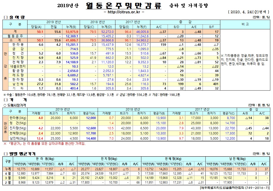 [월동&만감]2019년산 출하 및 가격동향(4/24)