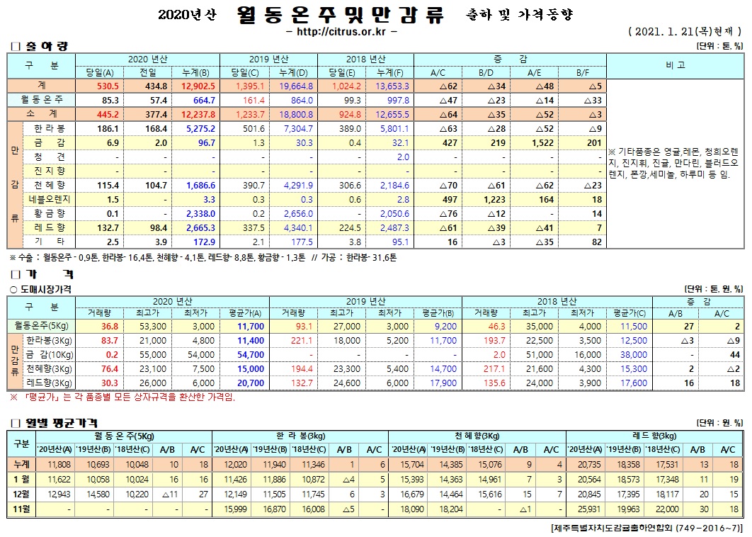 [월동&만감]2020년산 출하 및 가격동향(1/21)