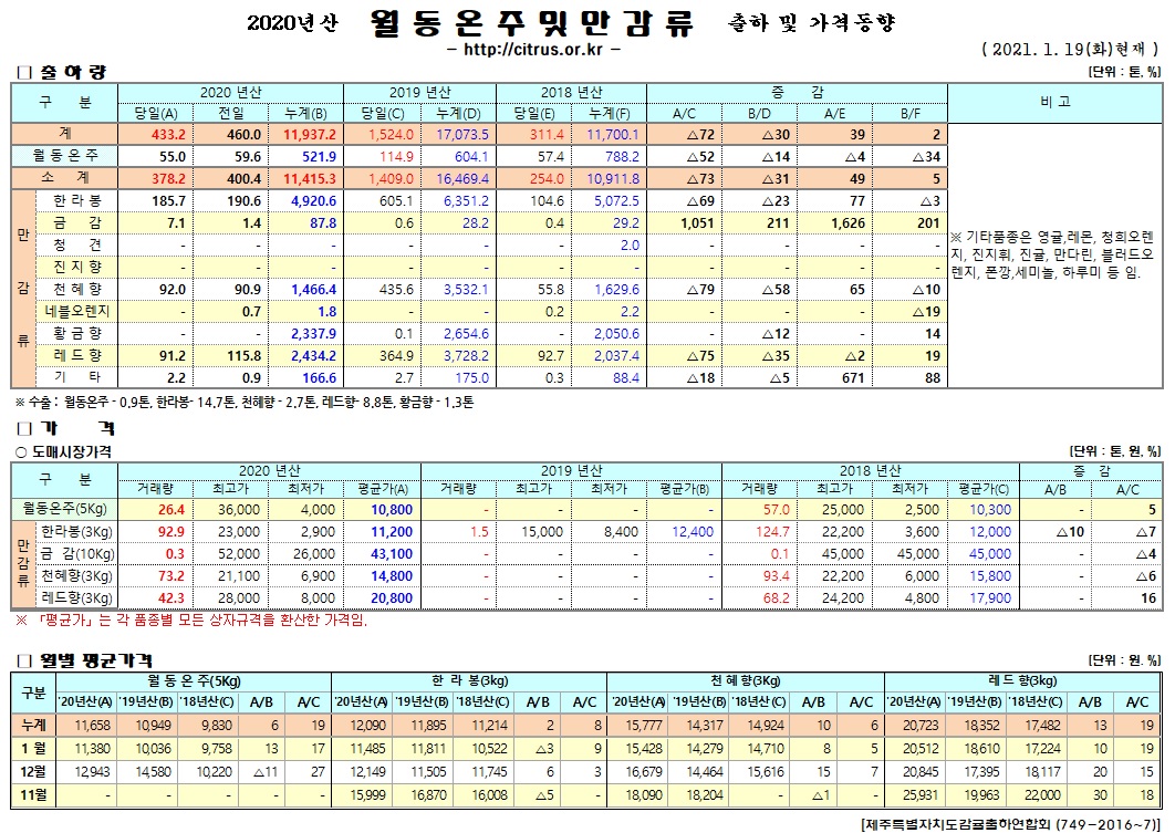 [월동&만감]2020년산 출하 및 가격동향(1/19)