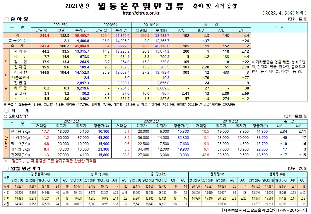 [월동&만감]2021년산 출하 및 가격동향(4/06)