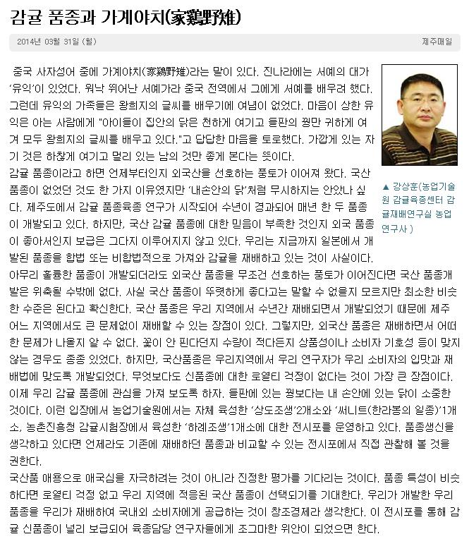 감귤 품종과 가계야치(家鷄野稚)