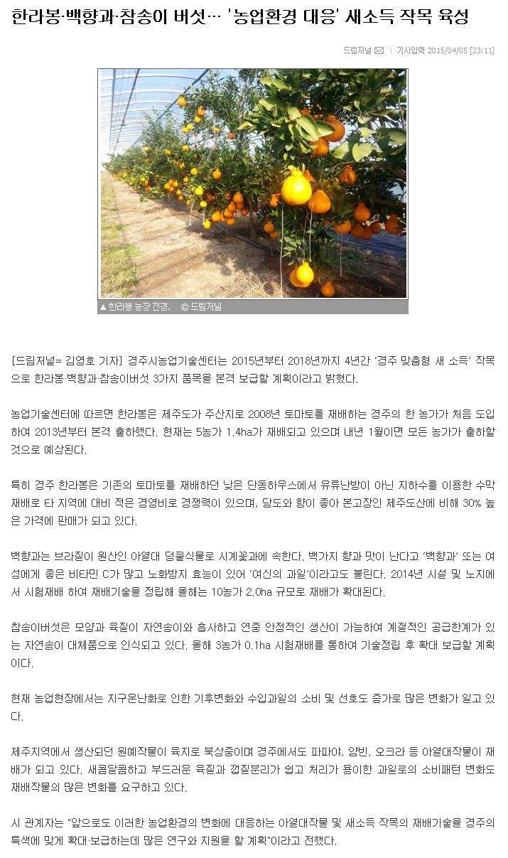 한라봉·백향과·참송이 버섯… '농업환경 대응' 새소득 작목 육성