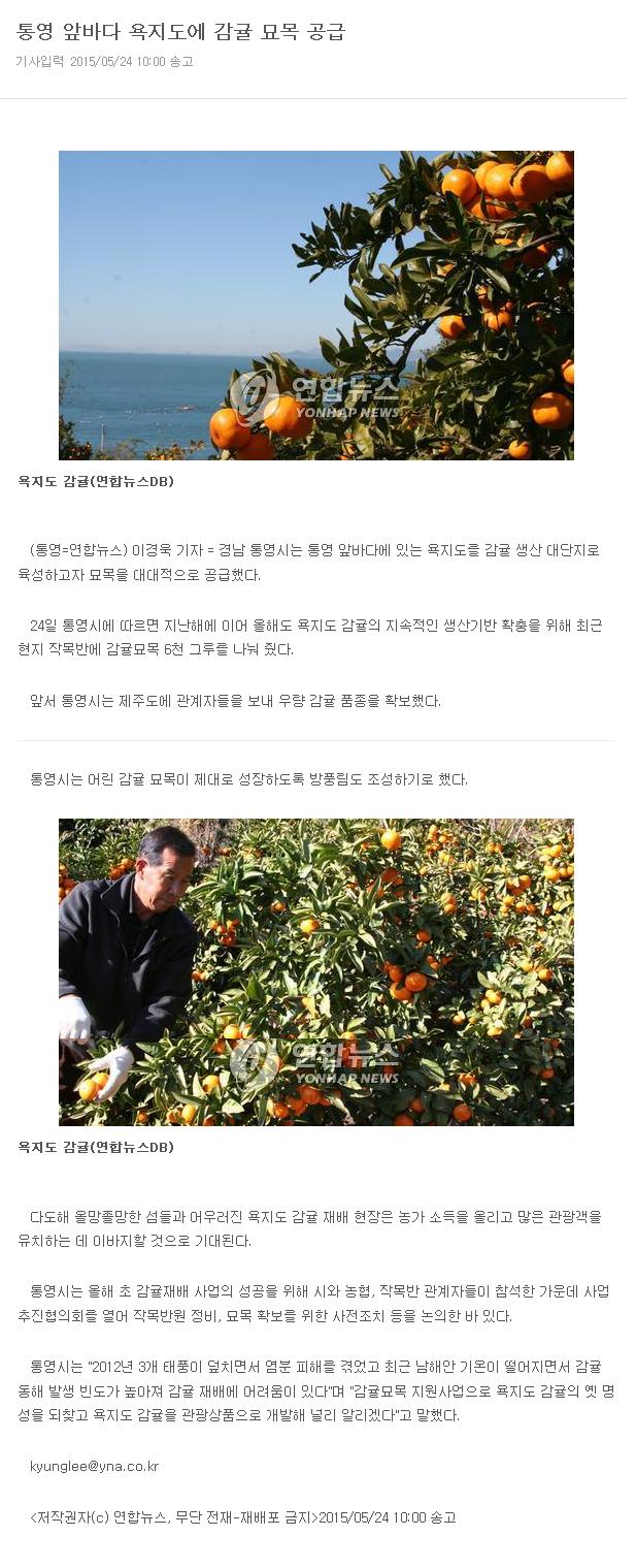 통영 앞바다 욕지도에 감귤 묘목 공급