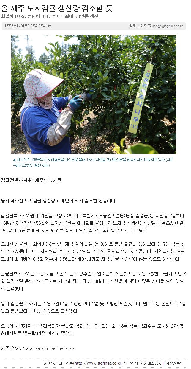 올 제주 노지감귤 생산량 감소할 듯