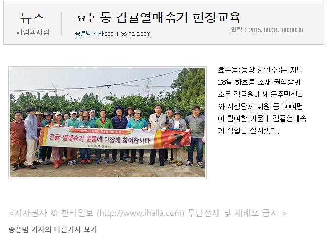 효돈동 감귤열매솎기 현장교육