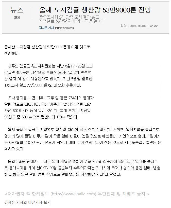 올해 노지감귤 생산량 53만9천톤 전망