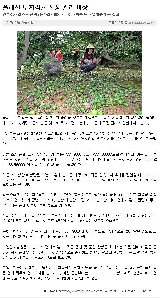 올해산 노지감귤 적정 관리 비상