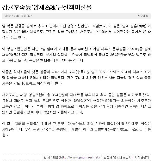 감귤후숙 등"얌체상혼"근절책 마련