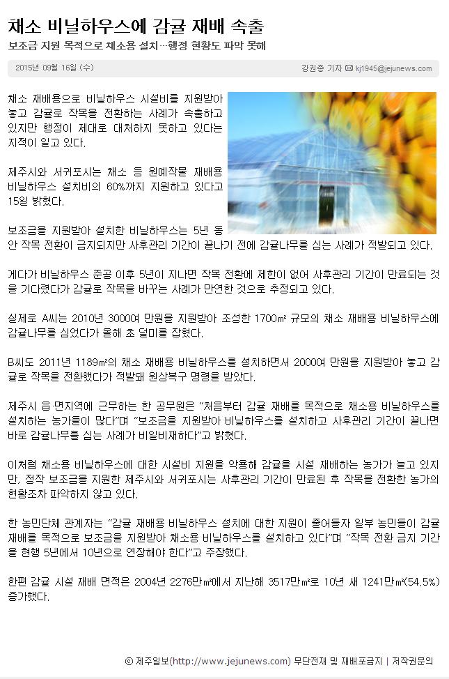 채소 비닐하우스에 감귤 재배 속출
