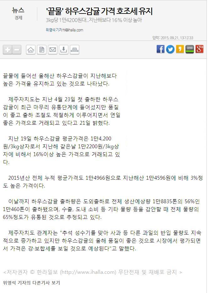 "끝물" 하우스감귤 가격 호조세 유지