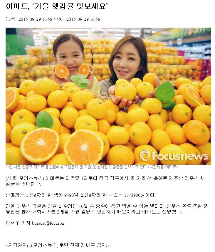 가을 햇감귤 맛보세요