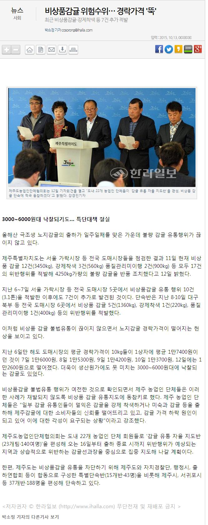 비상품감귤위험수위... 경락가격 "뚝"