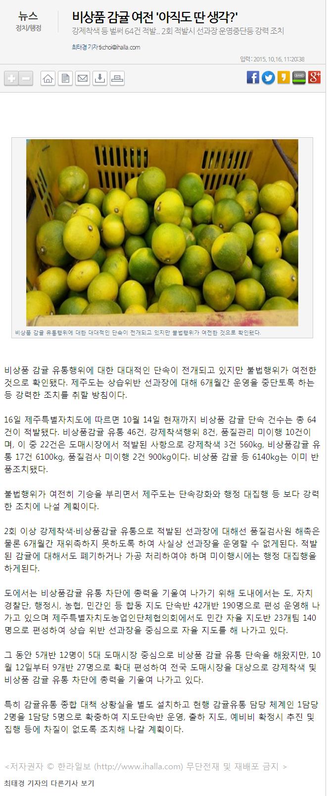 비상품 감귤 여전 "아직도 딴 생각?"