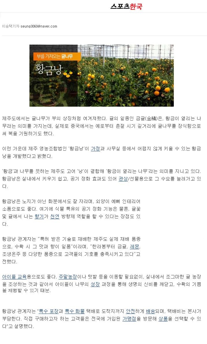 제주도 귤나무 황금낭, 공기 정화식물로 "관심"
