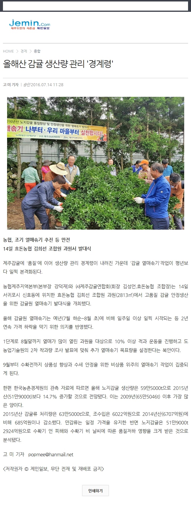 올해사 ㄴ감귤 생산량 관리'경계령'